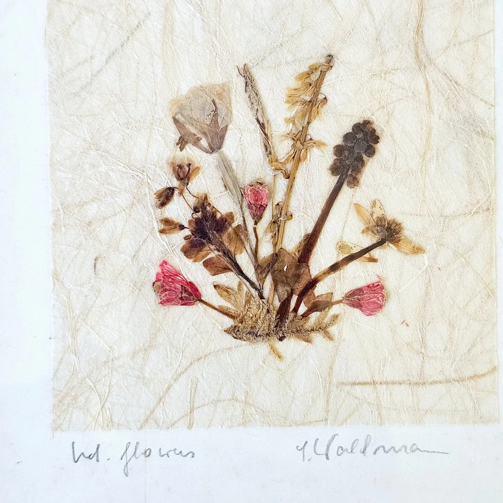 Vintage Framed Pressed Flower on Handmade Paper Picture Signed 7